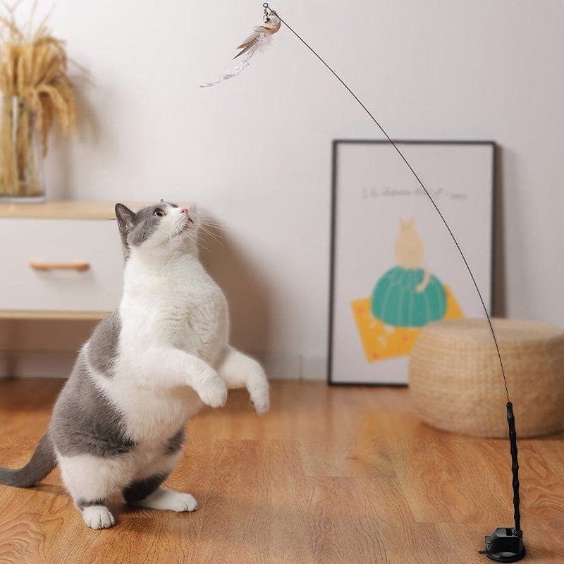 Interactive Bird Simulation Cat Toy Set 