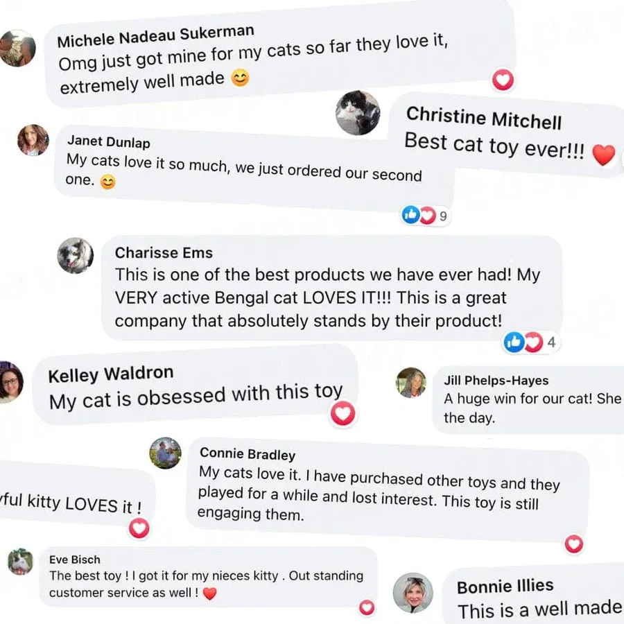 Interactive Bird Simulation Cat Toy Set 