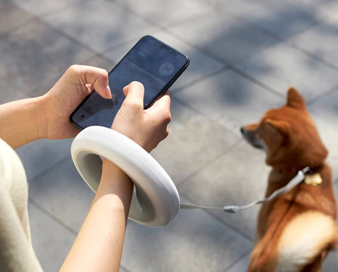 Smart LED Retractable Dog Leash - Keep Your Dog Safe at Night | GROOMY