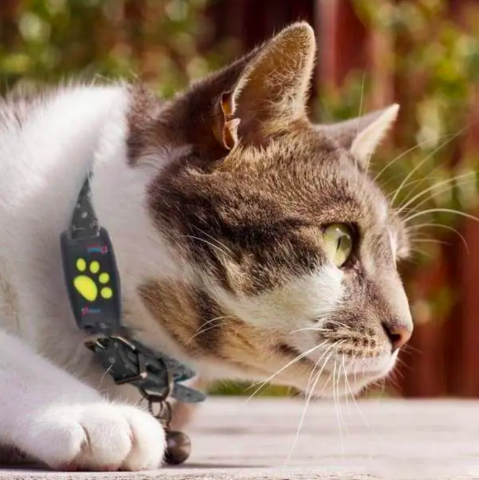 Cat GPS Tracker