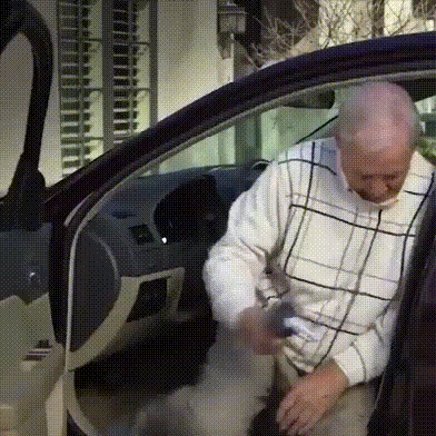 (Early Christmas Sale - 48% OFF) Car Cane (Early Christmas Sale - 48% OFF) Car Cane