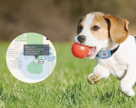 Pet GPS Tracker