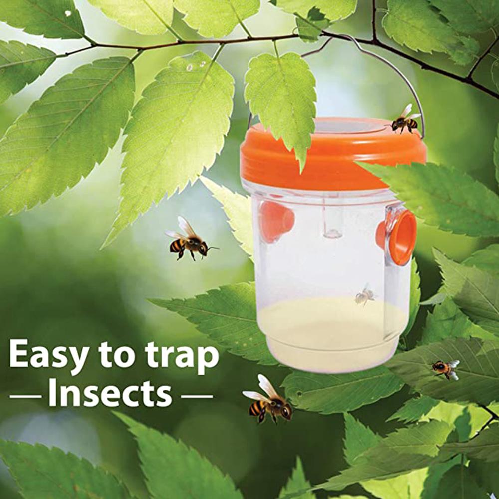 Buy Insect Trap Solar Powered Wasp Trap with UV LED Light Effective and  Reusable Fruit Fly Trap Wasp at affordable prices — free shipping, real  reviews with photos — Joom