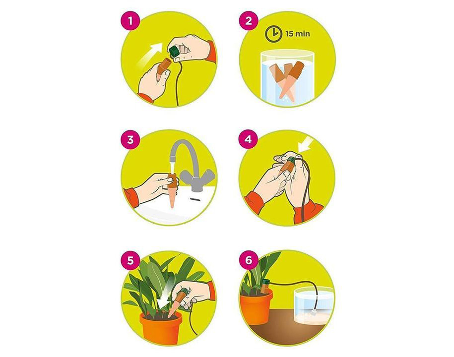 Automatic Plant Watering Spikes