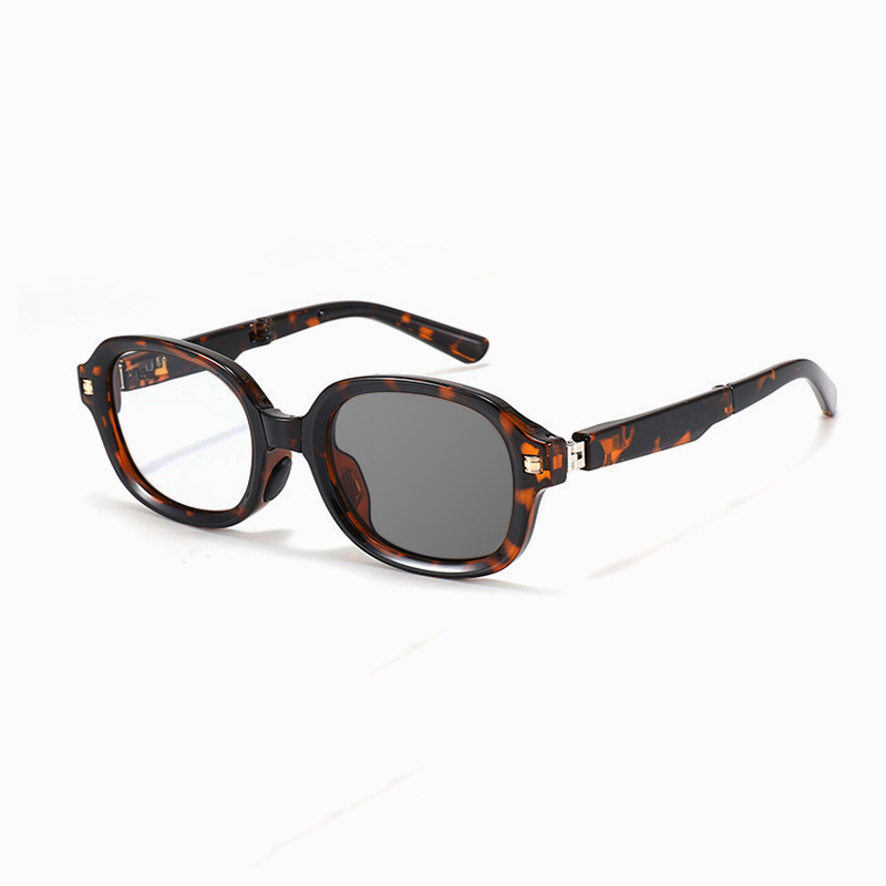 CASUAL PORTABLE FOLDABLE PHOTOCHROMIC READING GLASSES