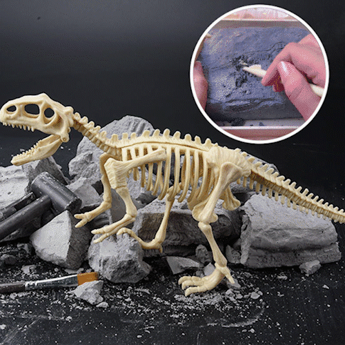 Great Educational Toy for Kids🎁2022 New Arrival Dinosaur Fossil Digging Kit - BUY 2 FREE SHIPPING