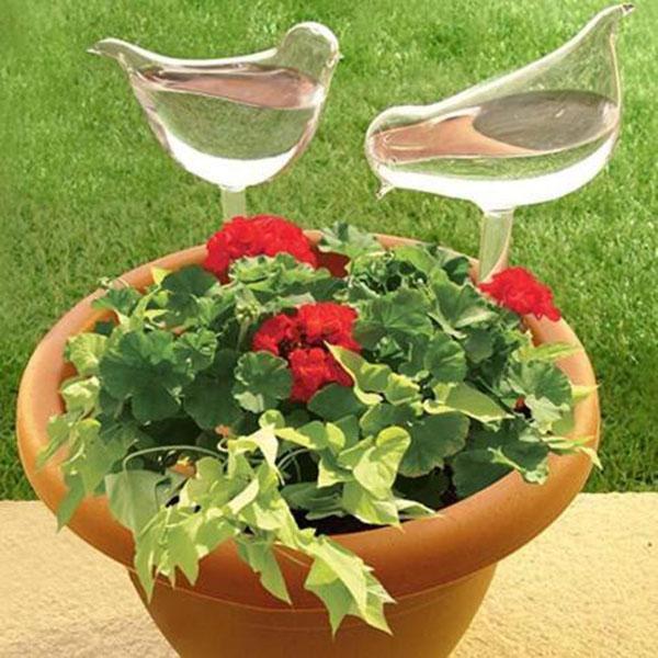 (🔥Last Day Promotion-SAVE 50% OFF) Self-Watering Plant Glass Bulbs - Buy 5 Sets Free Shipping!