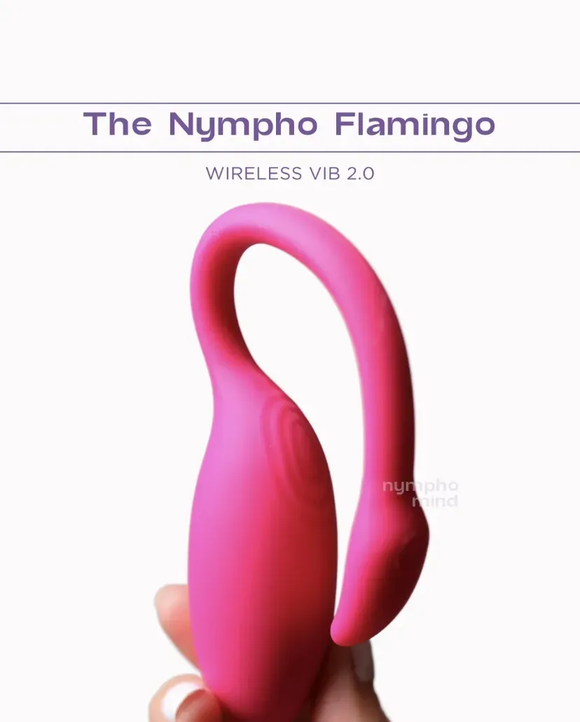 LIMITED TIME DISCOUNT 🔥 LAST DAY 70% OFF🎁Nympho Flamingo Wireless Vibrator 3.0