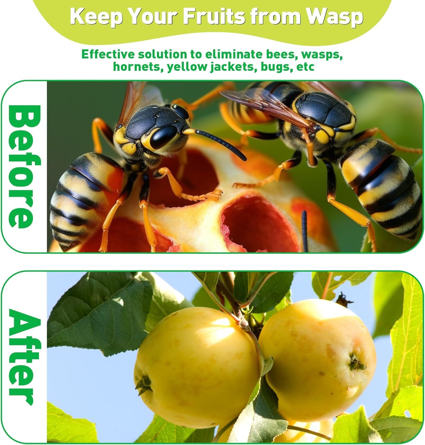 Wasp Trap 2 Pack Outdoor Hanging, Bee Traps Catcher, Wasp Deterrent Killer Insect Catcher, Non-Toxic Reusable Hornet Yellow Jacket Trap Hanging