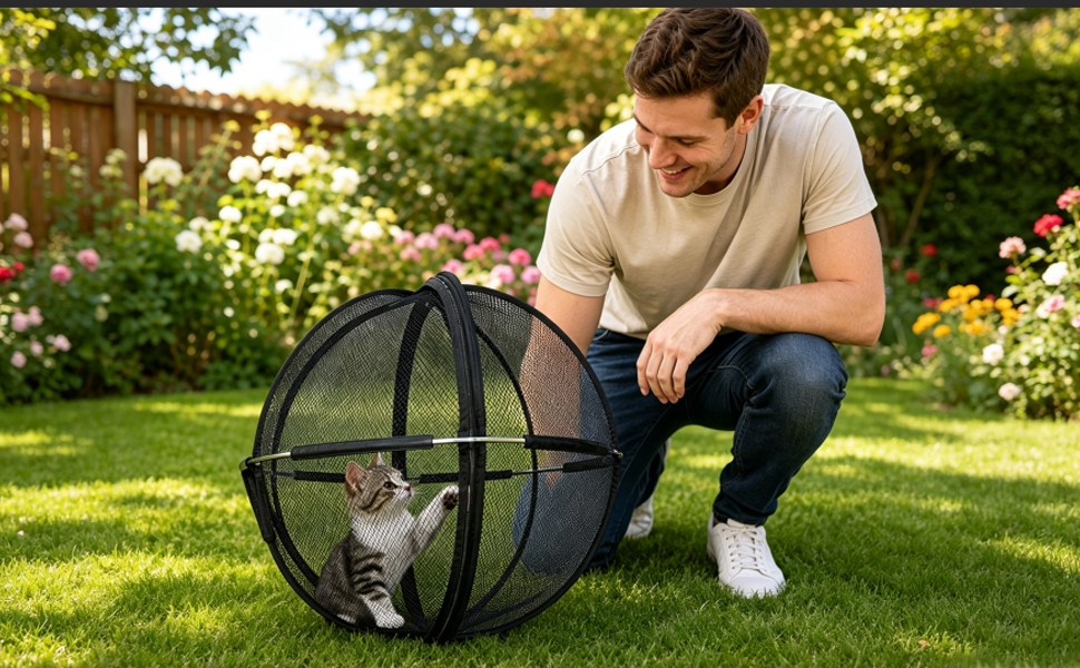 cat hamster ball