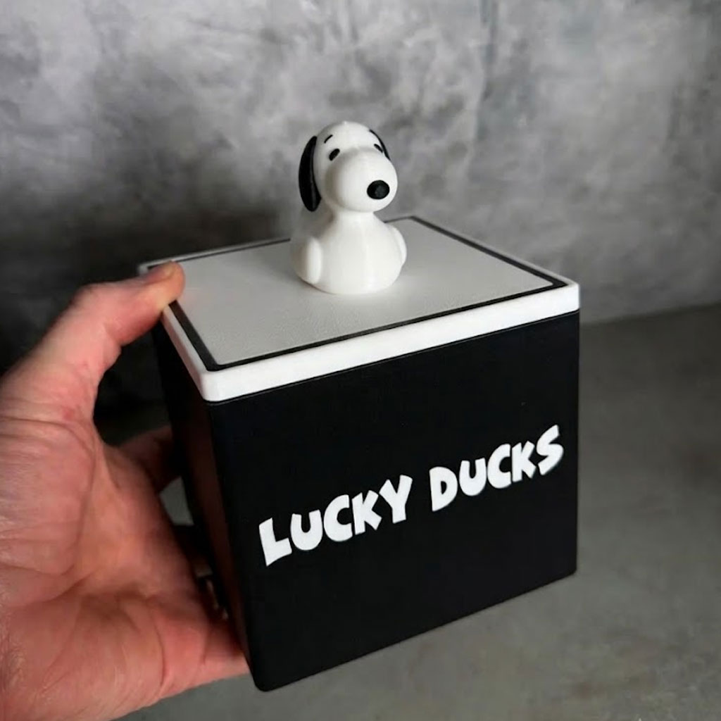 Lucky Ducks Classroom Management Tool / Student Grouping Ducks