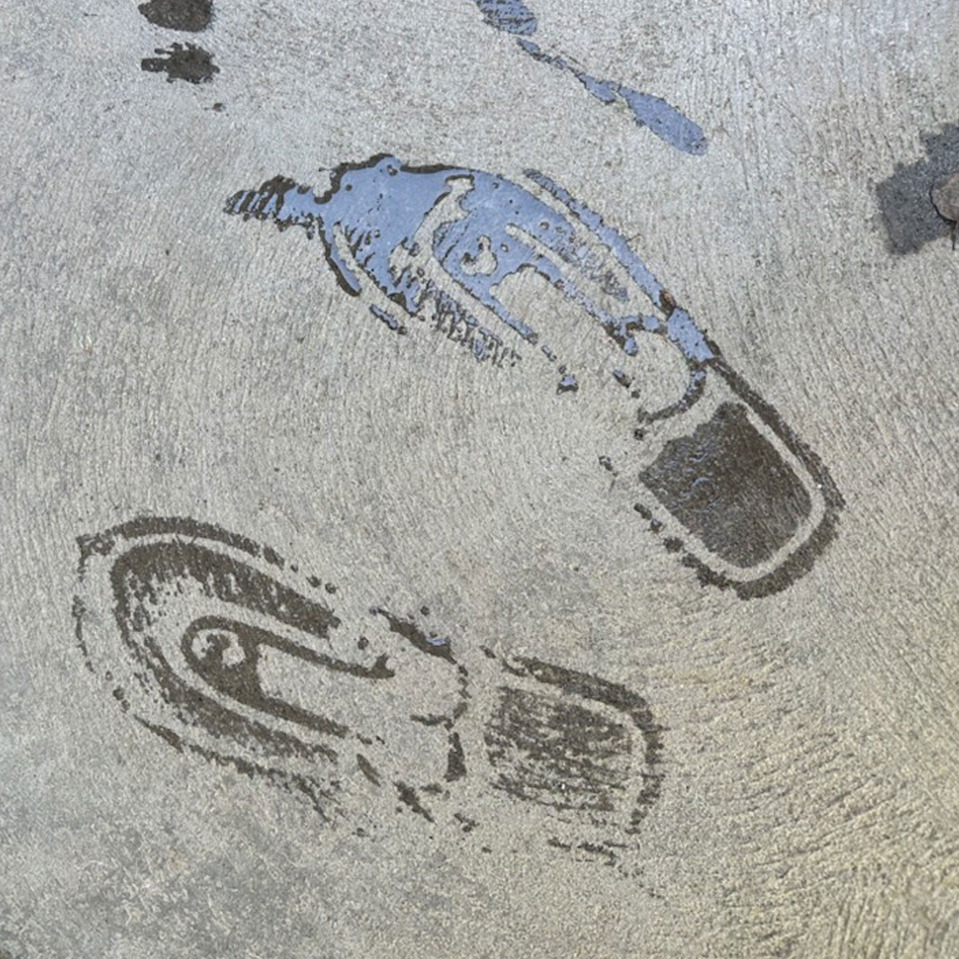 Funny Dick Flops
