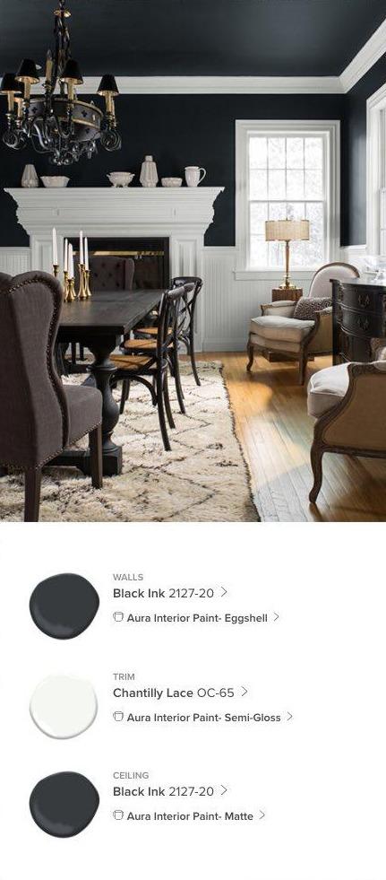 Beautiful Blacks Interior Paint