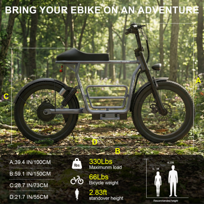 Caroma Electric Scooter Z20