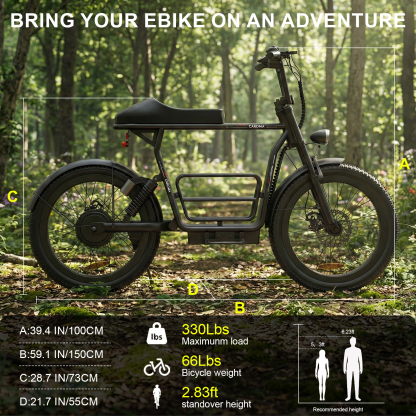 Caroma Electric Scooter Z20