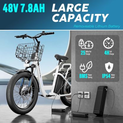 Caroma 819W Electric Scooter with Off-Road Tires K4
