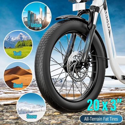 Caroma 819W Electric Scooter with Off-Road Tires K4