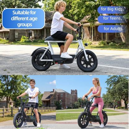 Caroma Electric Scooter with Seat D Series