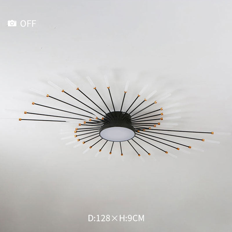 Lowry Ceiling Light Fireworks