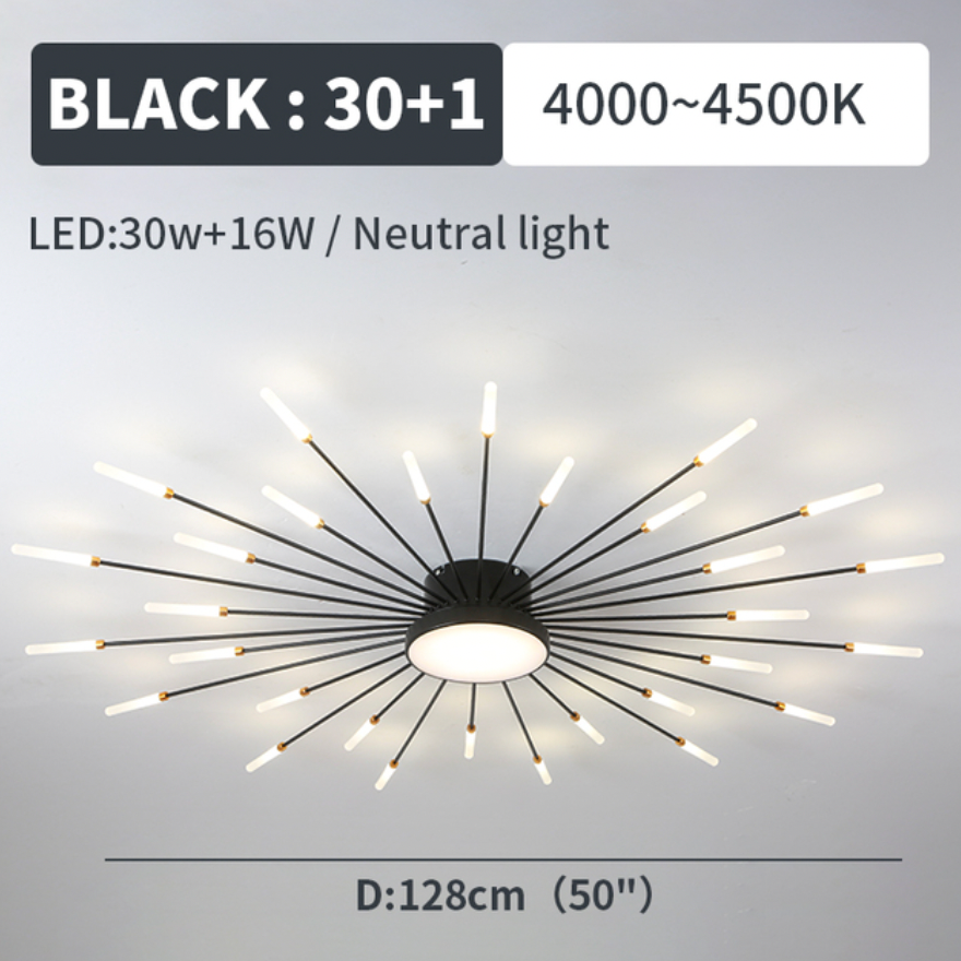 Lowry Ceiling Light Fireworks
