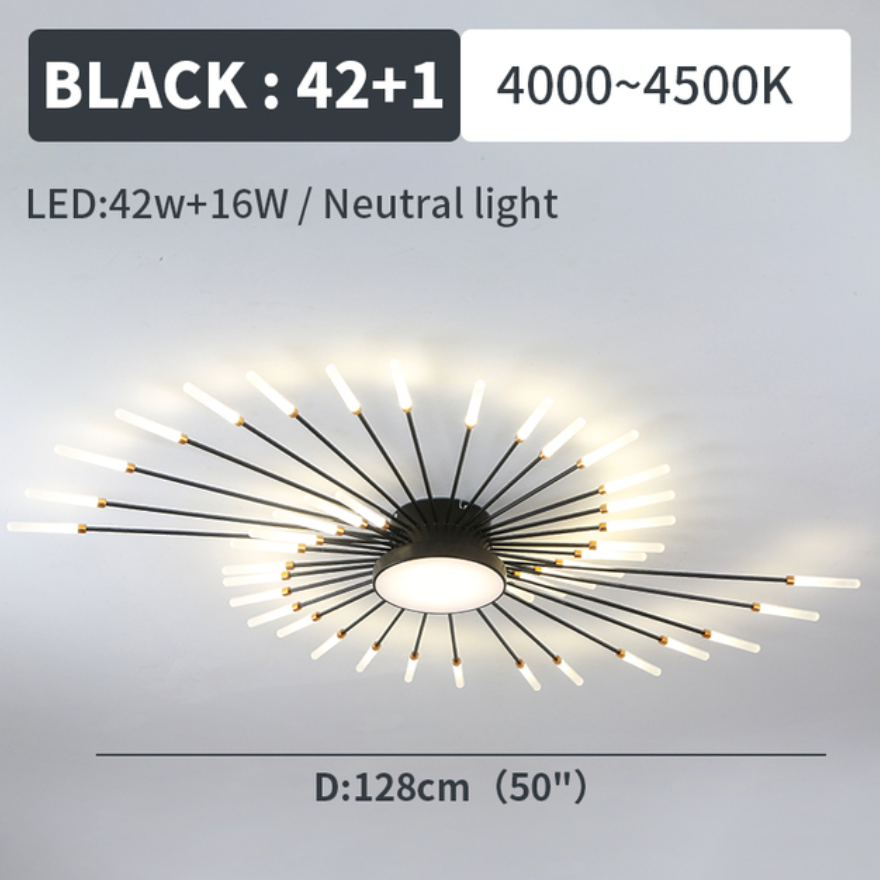 Lowry Ceiling Light Fireworks
