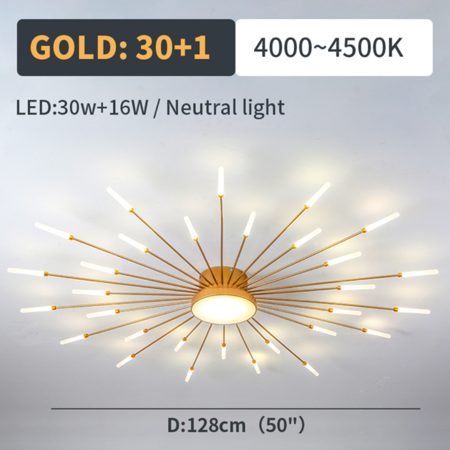 Lowry Ceiling Light Fireworks