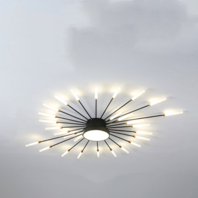 Lowry Ceiling Light Fireworks