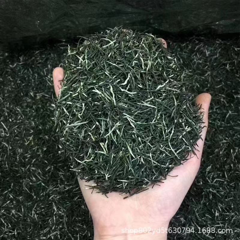 直条毛尖