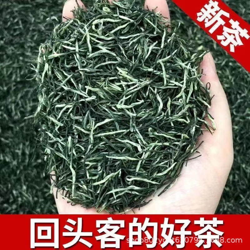 直条毛尖