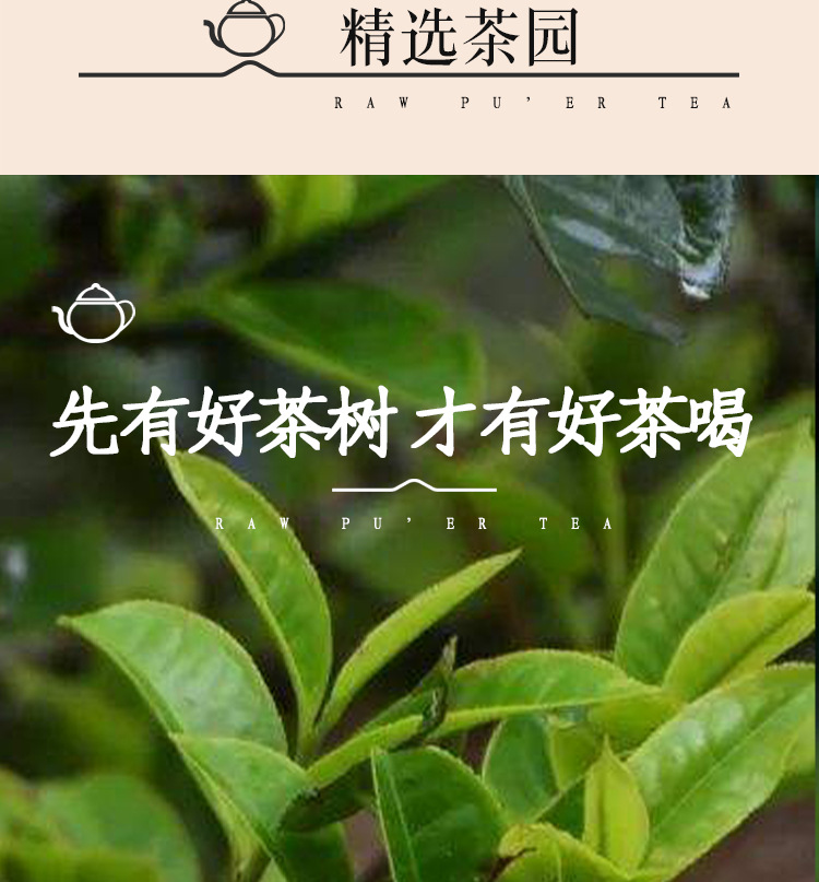 曼松黄金饼_03