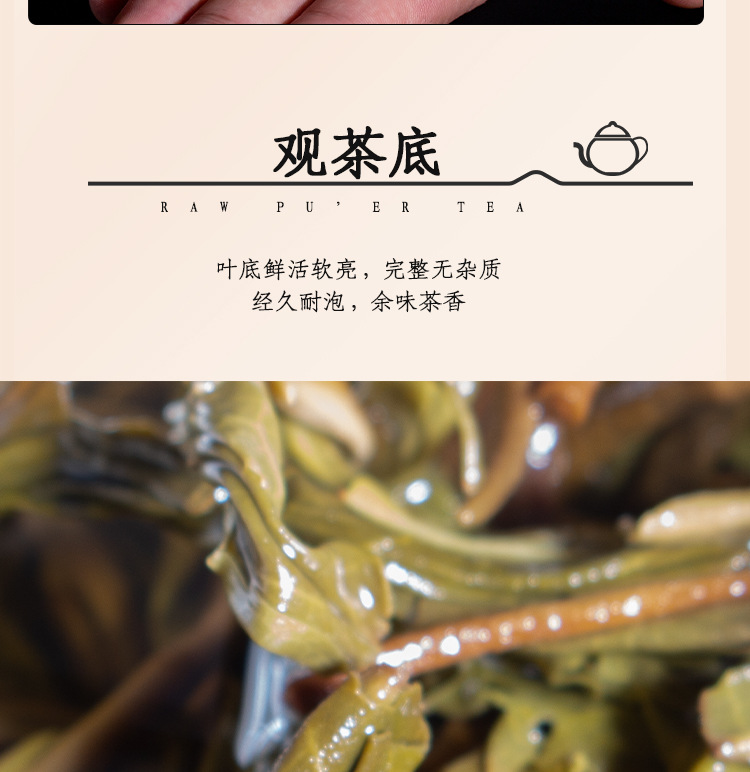 曼松黄金饼_11