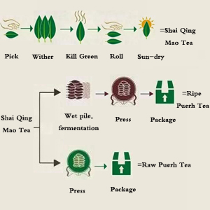 puer tea