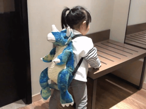 ✨Dinosaur backpack👍
