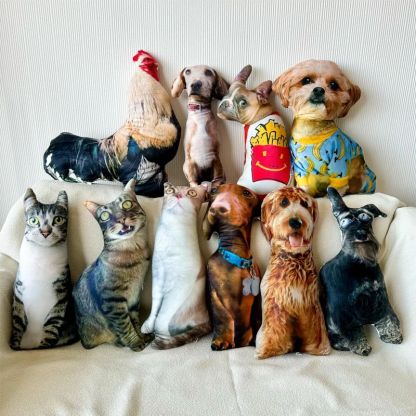 Cute Pet Handcraft Pillow
