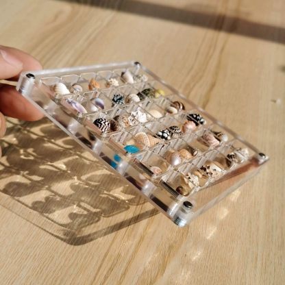 50% OFF -Acrylic Magnetic Seashell Display Box