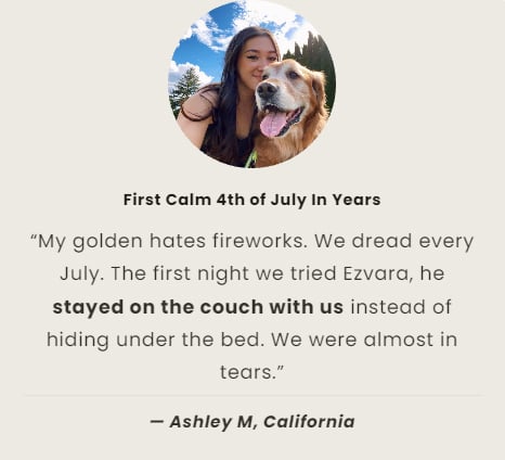 Dog owner feedback