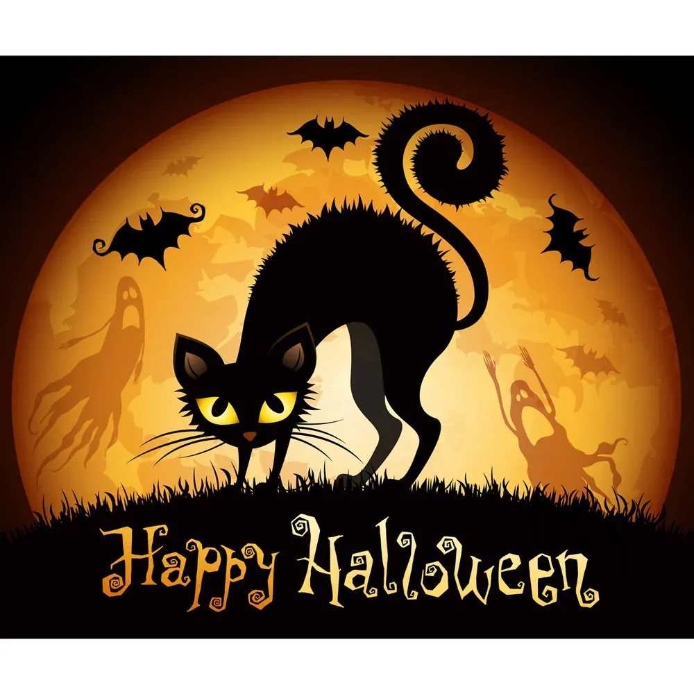 Halloween Spooky Cat Library Door Banner Mural