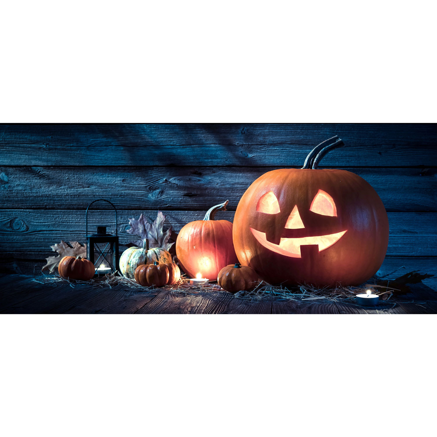 Halloween Carved Pumpkin Lantern Garage Door Banner Mural