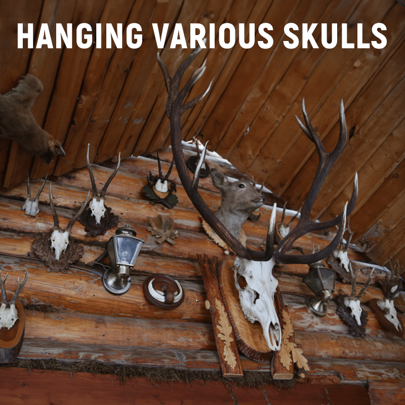 🎄2025 Christmas Sale - Christmas European Mount Skull Wall Hanger Hook