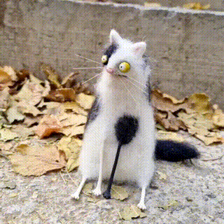 🔥Hot Sale 49% OFF🌟🐭👀Handmade Wool Felt Big-Eyed Panicked Weirdo — Quirky Plush Pal🧶