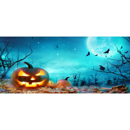 Halloween Carved Pumpkin Lantern Garage Door Banner Mural