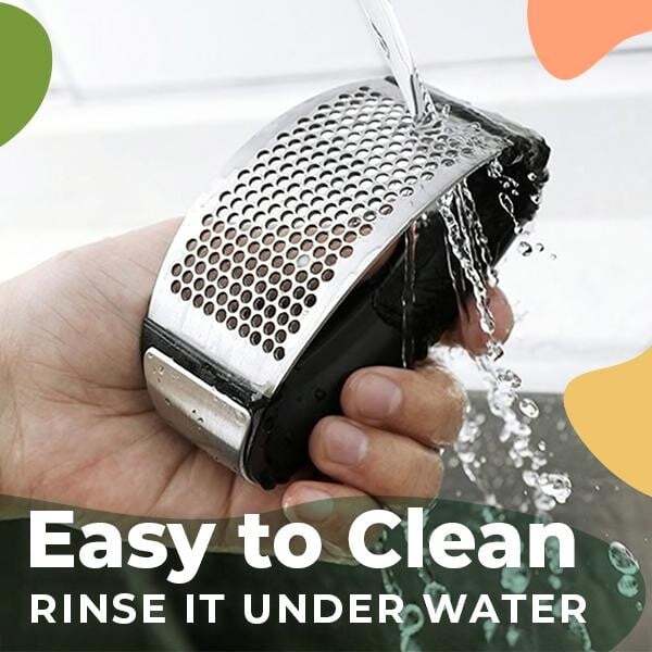 Special Offer Now) Stainless Steel Garlic Presser