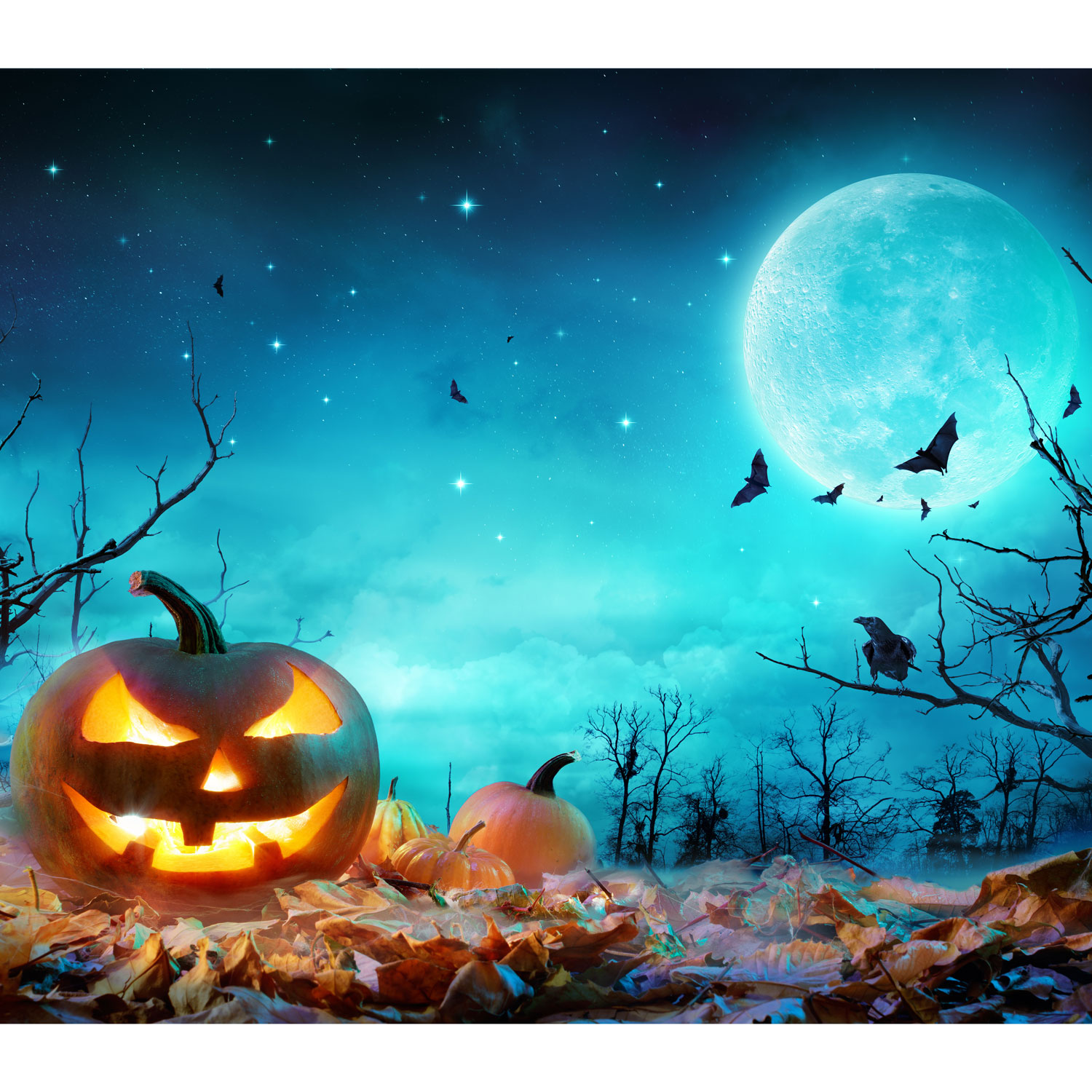 Halloween Carved Pumpkin Lantern Garage Door Banner Mural