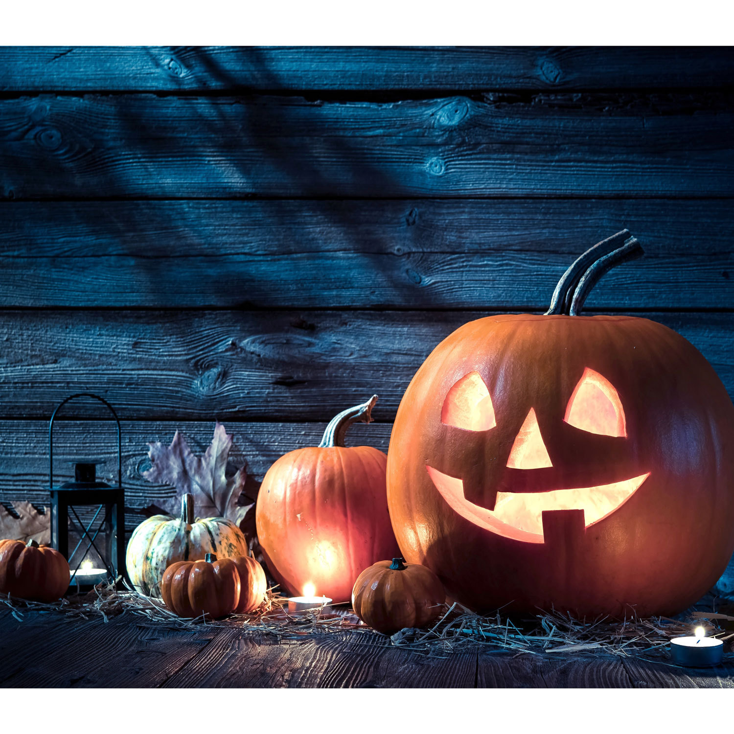 Halloween Carved Pumpkin Lantern Garage Door Banner Mural