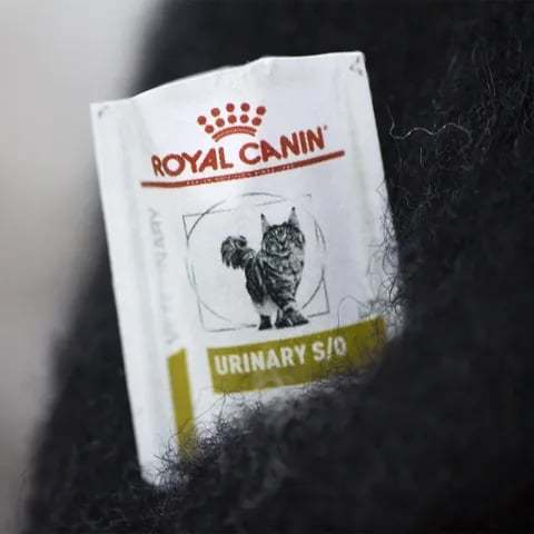 🎄✨Wool Felt Familiars – Quirky Handmade Companions