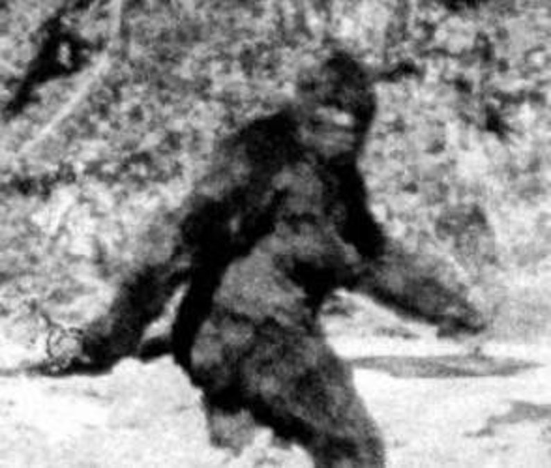 🦶Bigfoot Toe Sasquatch high quality hand sculpted prop