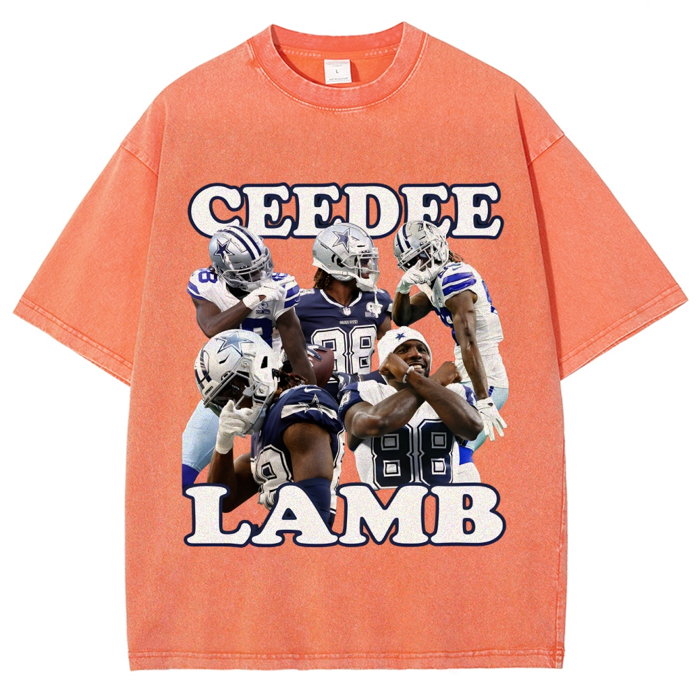 Unisex-Adult Ultra Cotton Washed T-Shirt Graphic Unisex-CEEDEE LAMB T-shirt