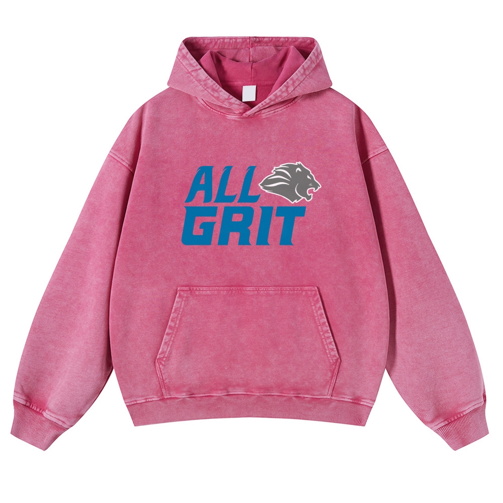 Casual Washed Hoodie Detroit Lions