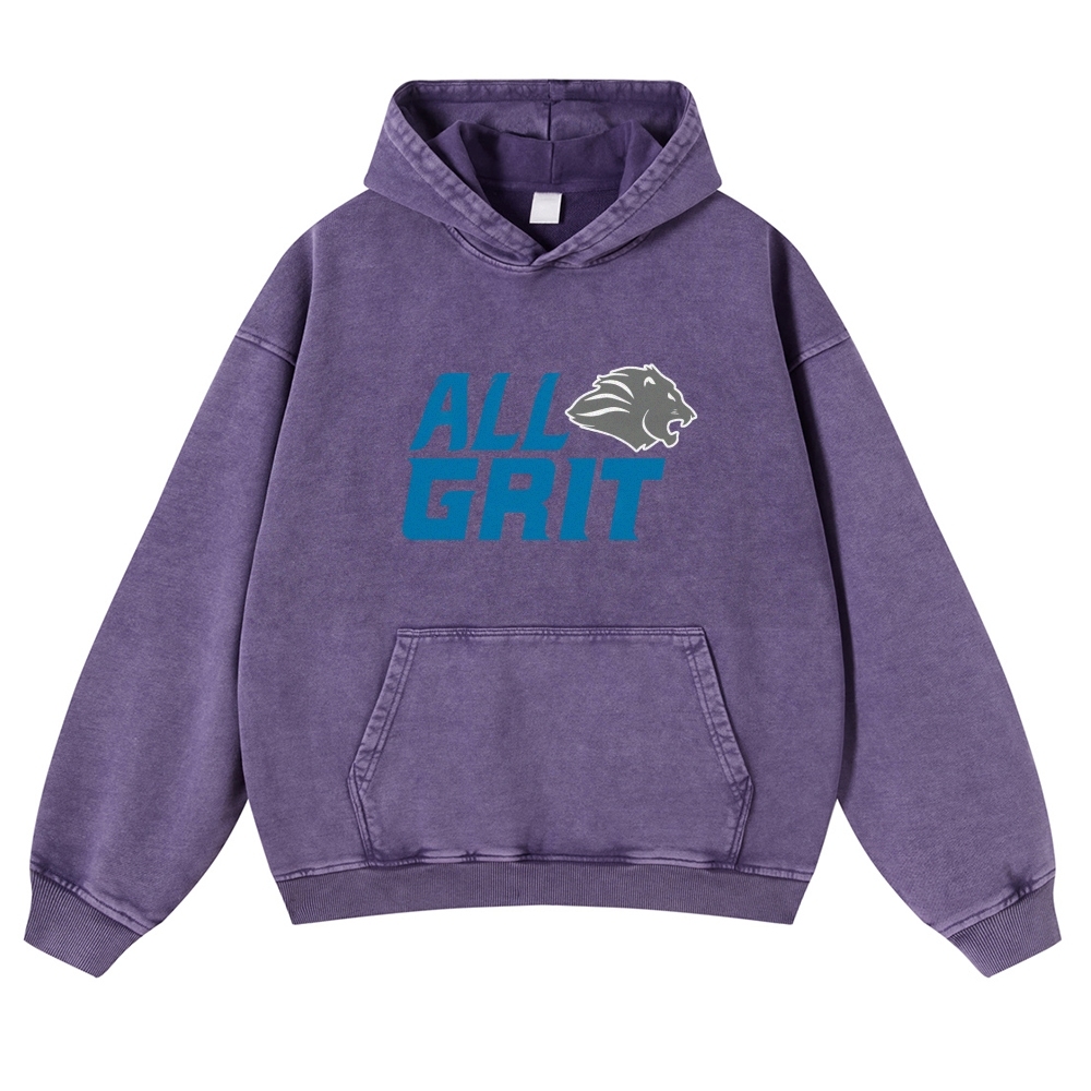 Casual Washed Hoodie Detroit Lions