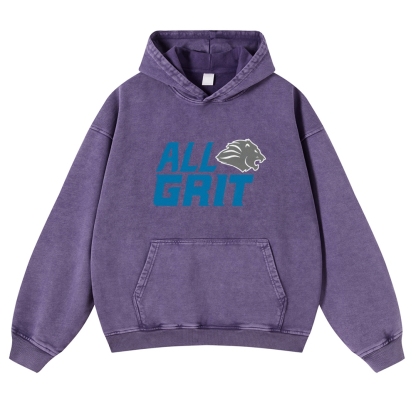 Casual Washed Hoodie Detroit Lions